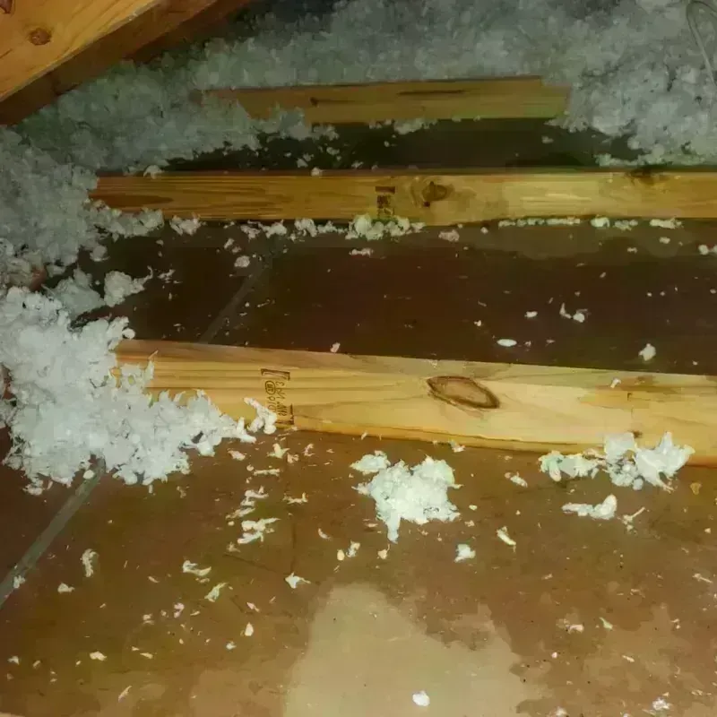 Attic Water Damage in Mastic, NY